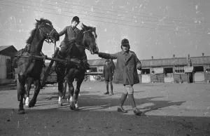 WW2 Women In Uniform Drucke: Horse Training