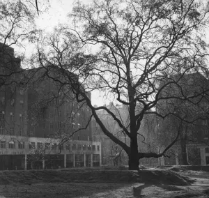 Classic London Landmarks Drucke: Berkeley Square