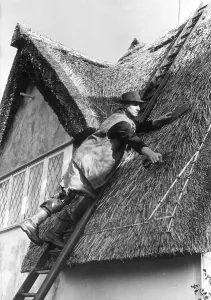Traditional Roofing Techniques Drucke: Thatching Display