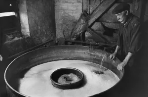 Vintage Brewery Scene Drucke: Microbrewer At Work