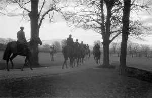 Black And White Horse Photos Drucke: O'Brien's String