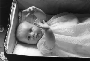 Black And White Baby Photos Drucke: Under Observation