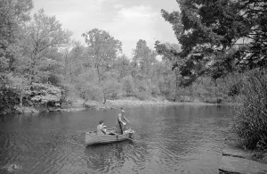 Lake Windermere Drucke: Perch Traps
