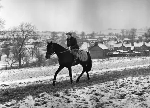 Horse Riding In Snow Drucke: Piggott Training
