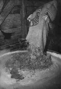 Brewery Worker Drucke: Pub Brewery