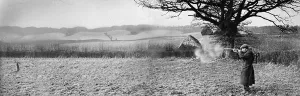 Europe Landscape Photographs Drucke: Rabbiting