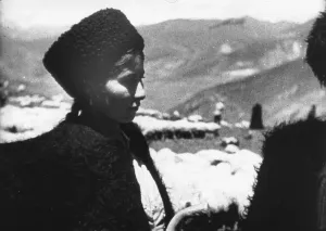 World War II Drucke: Shepherdess