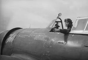 Normandy Invasion Drucke: Thunderbolt And Pilot