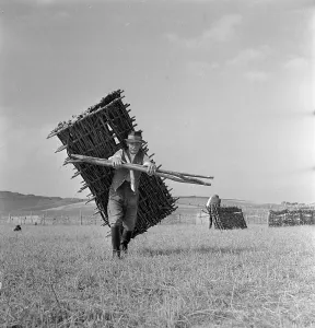 England Countryside Drucke: Unending Task