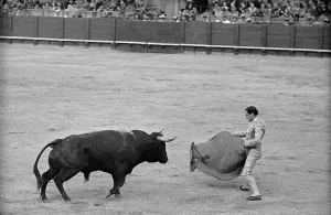 Bullfighting Spain Drucke: A Wave Of The Cape
