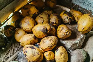 UNESCO World Heritage Sites In Cuba Drucke: Pile of Coconuts in Vinales, Cuba