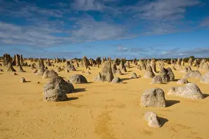 Desert Landscape Photography Tour Drucke: The Pinnacles limestone formations, Nambung National Park, Western Australia