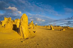 Australian Desert Landscape Drucke: The Pinnacles limestone formations, Nambung National Park, Western Australia