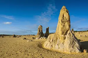 Australian Desert Landscape Drucke: The Pinnacles limestone formations, Nambung National Park, Western Australia