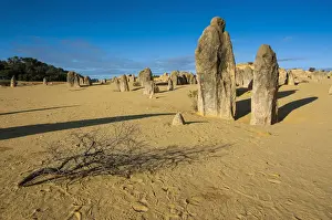 Desert Landscape Photography AUSTRALIA Drucke: The Pinnacles limestone formations, Nambung National Park, Western Australia