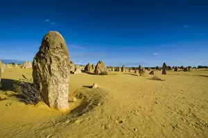 Australian National Parks Tourism Drucke: The Pinnacles limestone formations, Nambung National Park, Western Australia
