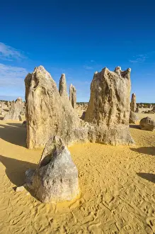 Australian Desert Landscape Drucke: The Pinnacles limestone formations, Nambung National Park, Western Australia