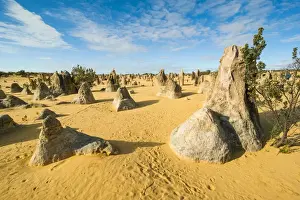 Australian Desert Scenery Drucke: The Pinnacles limestone formations, Nambung National Park, Western Australia