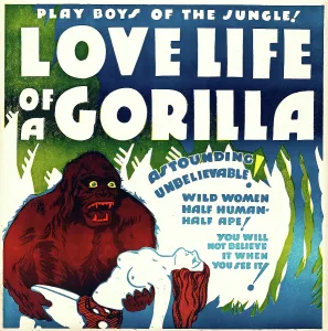 Das Liebesleben eines Gorilla