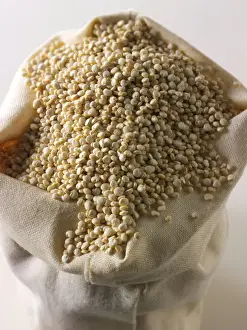 Quinoa Nutrition Drucke: Quinoa grains