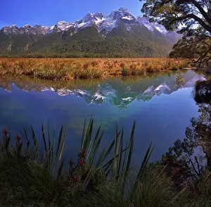 Mountain Reflections In Water Drucke: Reflection at Mirror Lake