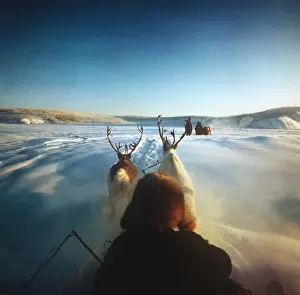 Vintage Winter Scenes Drucke: Reindeer Pulling Sleigh