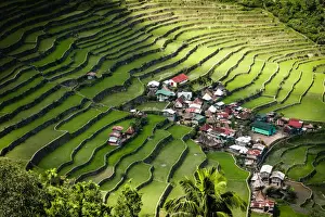 Reis Terrassen in Batad Philippinen