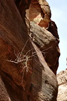 Arid Climate Landscapes Drucke: Rock
