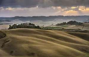 Wheat Field Photography Europe Drucke: Rolling hills, cornfields at dusk, Villamagna, Tuscany, Italy, Europe