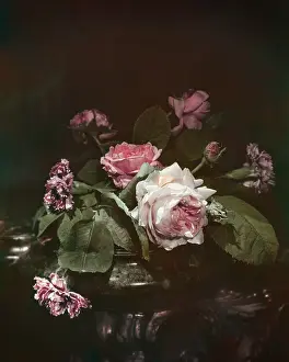 Vintage Flower Arrangements Drucke: Roses And Carnations