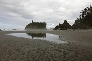 American Wilderness Drucke: Ruby Beach, Forks, Olympic Peninsula, Washington, USA