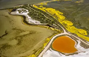 Languedoc Roussillon Scenery Drucke: Salt patterns on the surface of salt marshes