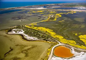 Camargue Landscape Photography Drucke: Salt patterns on the surface of salt marshes