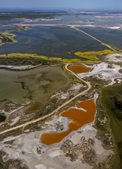 Camargue Landscape Photography Drucke: Salt patterns on the surface of salt marshes