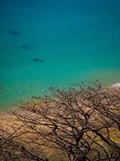 Horizon Over Water Images Drucke: Sancho Beach