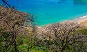 Tropical Paradise Drucke: Sancho Beach