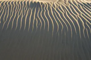 Denmark Coastal Landscapes Drucke: Sand structure, wind ripples, beach, Denmark