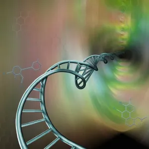 ADN-Molekül, Illustration
