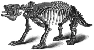 Faultier Drucke: megatherium