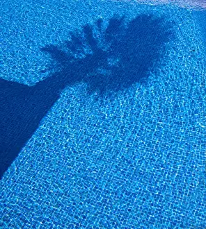 Outdoor Swimming Pools Drucke: Shadow of a palm tree in a pool