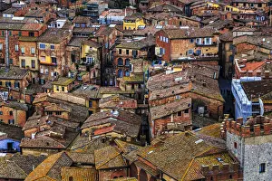 Siena Cityscape Drucke: Siena from above