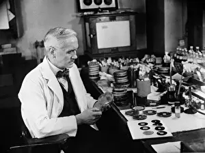 Herr Alexander Fleming