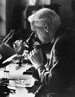 Herr Alexander Fleming