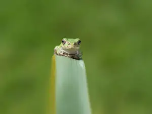 Sitzen Sie schön