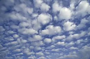 Cloud Formations In Nature Drucke: Small fluffy clouds, Cirrocumulus