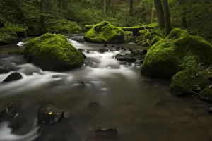 Long Exposure Water Photography Drucke: Stream, Strohner Schweiz, Daun, Vulkaneifel, Rhineland-Palatinate, Germany