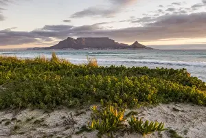 Table Mountain Panorama Drucke: Table Mountain, Lions Head and Devils Peak in the evening light