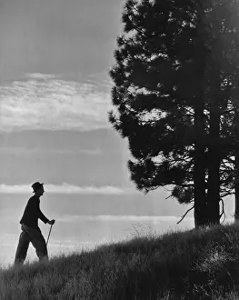 Full Length Black And White Photos Drucke: Taking A Walk