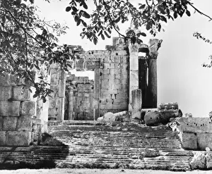 Baalbek Lebanon Drucke: Temple Of Bacchus