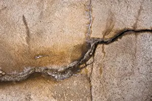 Bilder Datiert 25. Februar 2012: Bodenbelag, Wand mit Leimverkleber, Riss